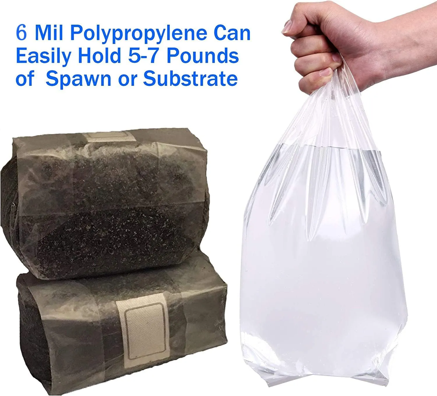 50 Pack, Mushroom Grow Bags, Heavy Duty 6 Mil Polypropylene Mushroom Substrate Bags, Large Size 8" X 5" X 20" for Mushroom Cultivation, Spawn Bags, and Sawdust Fruiting Blocks