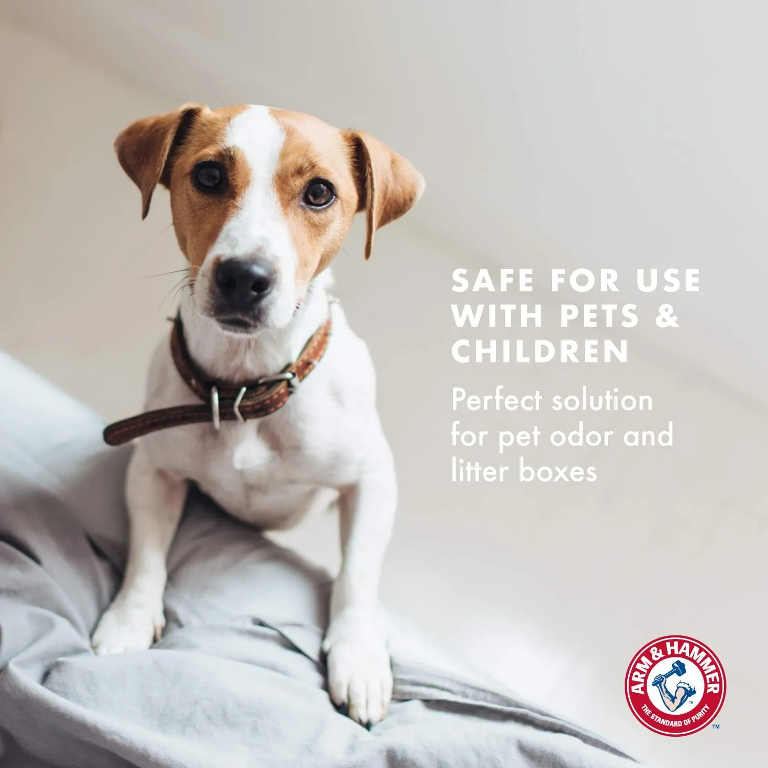 Arm & Hammer for Pets Air Care Calming Bamboo Charcoal Air Purifying Bag in Lavender Vanilla Scent | 17.6 oz Odor Absorbing Charcoal Bag | Easy Pet Odor Eliminator for Pet Households (FF12537)