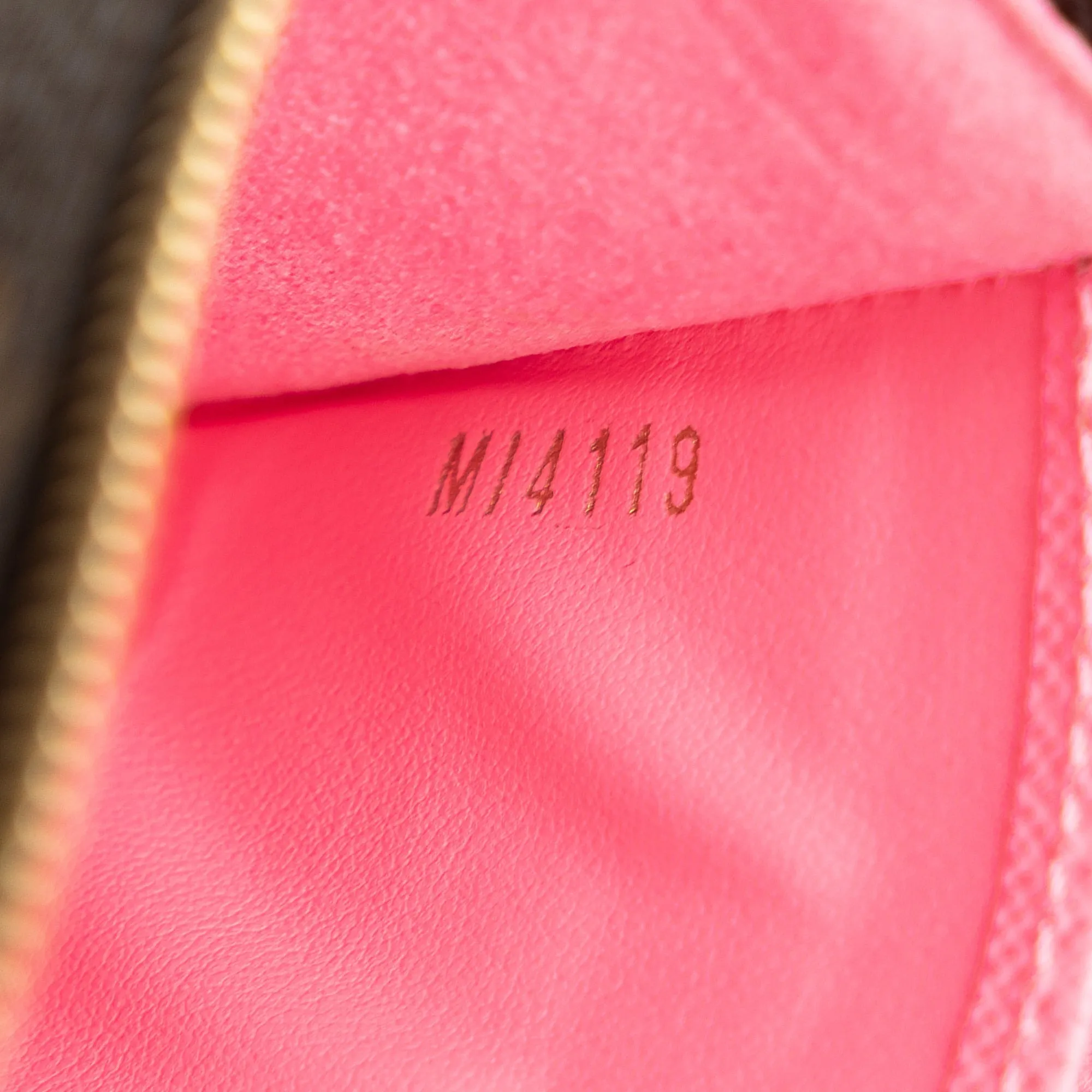 Brown Louis Vuitton Monogram Double Zip Pochette Illustre Vivienne Shanghai Crossbody Bag