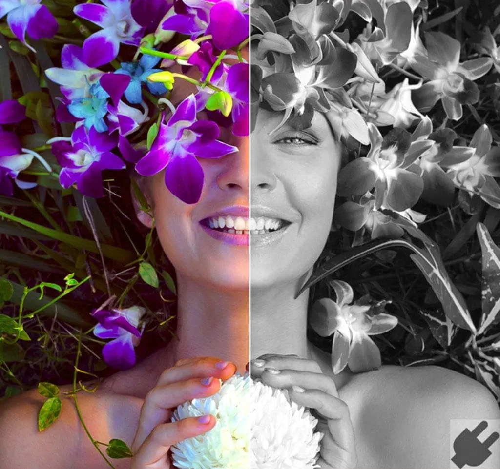 Corel AfterShot 3 | Photo Editing and Management Software [Mac Download]