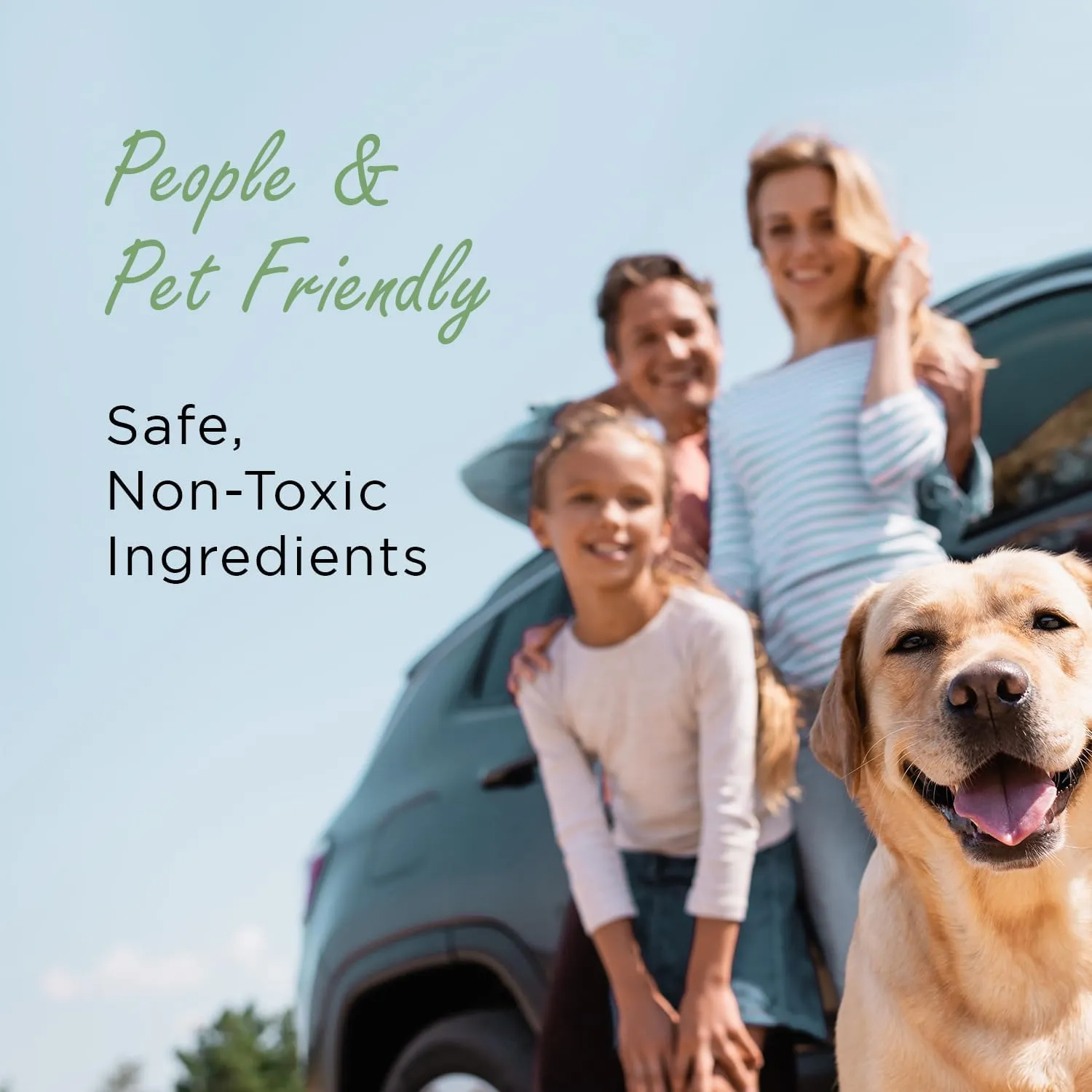 Moso Natural Car Air Freshener and Deodorizer (2 Pack) | Long Lasting Bamboo Charcoal Odor Absorber | Non Toxic Odor Eliminator for Cars | Scent Free Air Purifying Bag