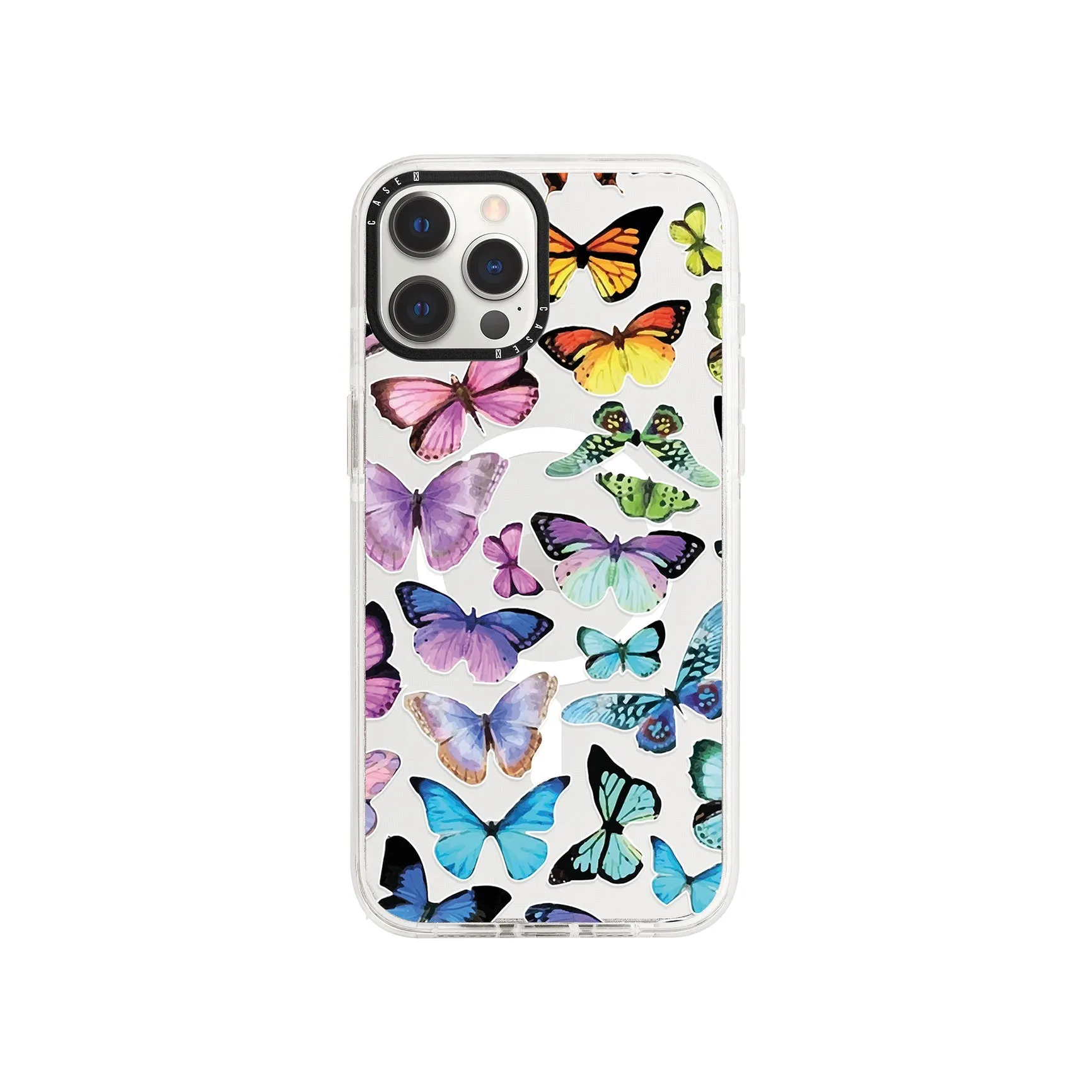 Rainbow Butterflies