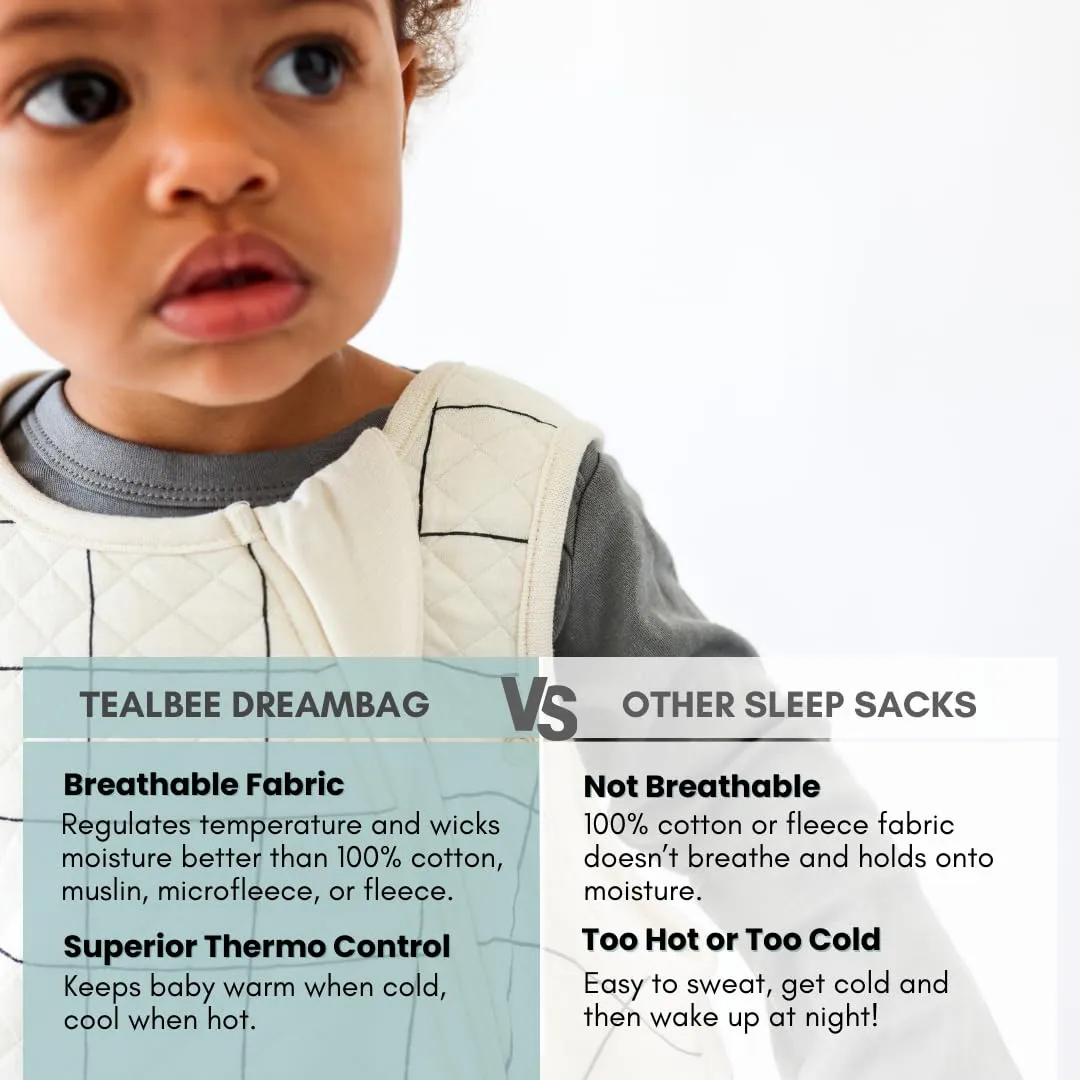 Tealbee Dreambag: Rayon made from Bamboo, Organic Cotton Baby Sleep Sack Universal Fit 6-24 months - 1.2 TOG All Season Baby Wearable Blanket - 2-way zipper - Checkered