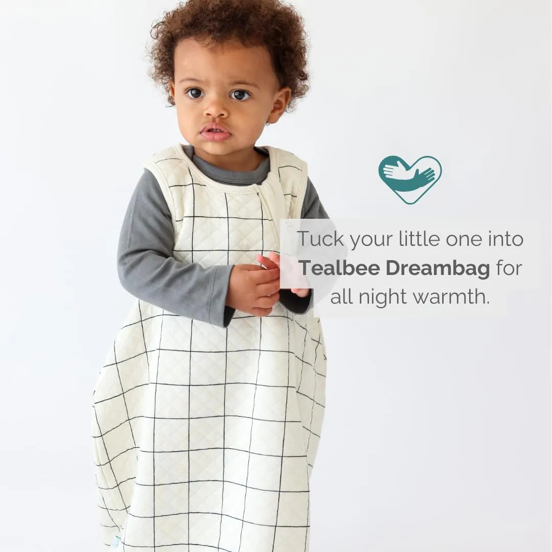 Tealbee Dreambag: Rayon made from Bamboo, Organic Cotton Baby Sleep Sack Universal Fit 6-24 months - 1.2 TOG All Season Baby Wearable Blanket - 2-way zipper - Checkered