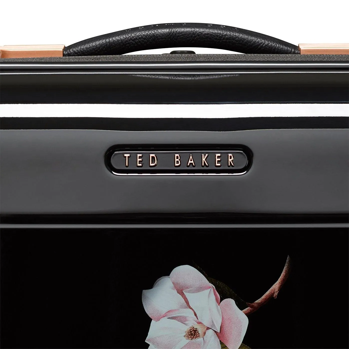 Ted baker Women's Hardside Carry-On 4-Wheel Carry-On Luggage