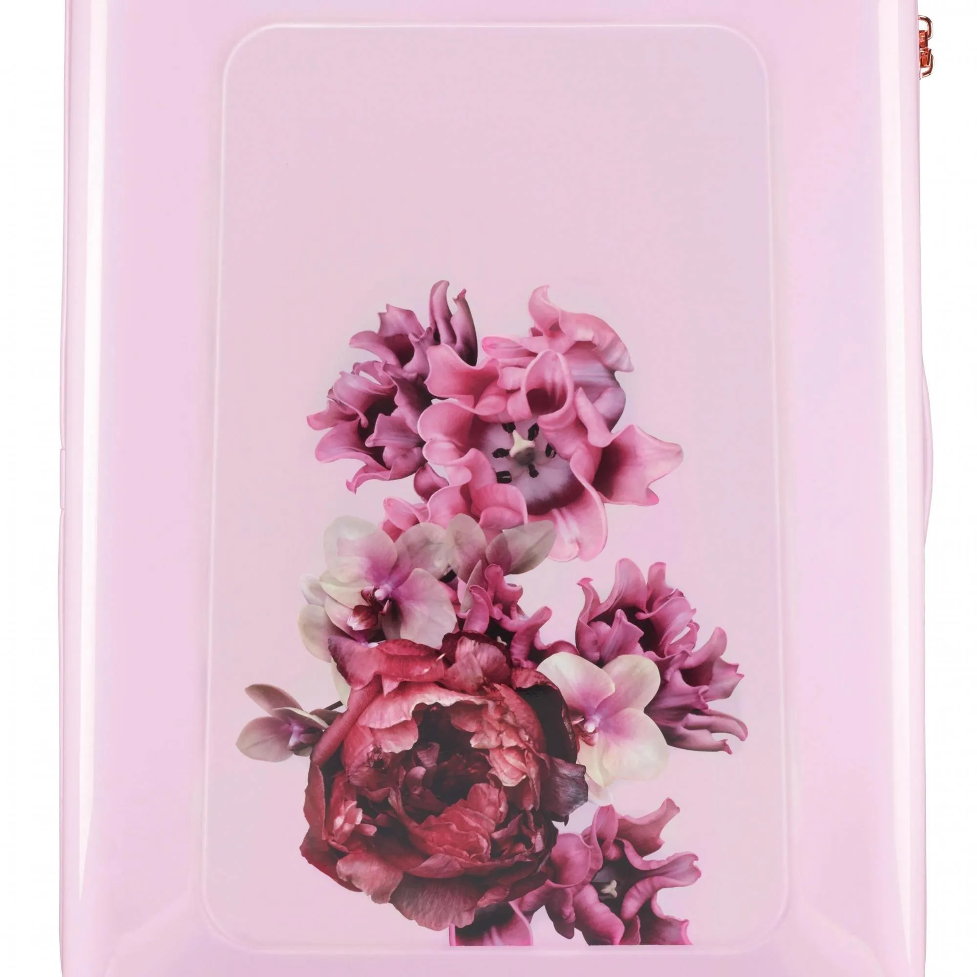 Ted baker Women's Hardside Carry-On 4-Wheel Carry-On Luggage