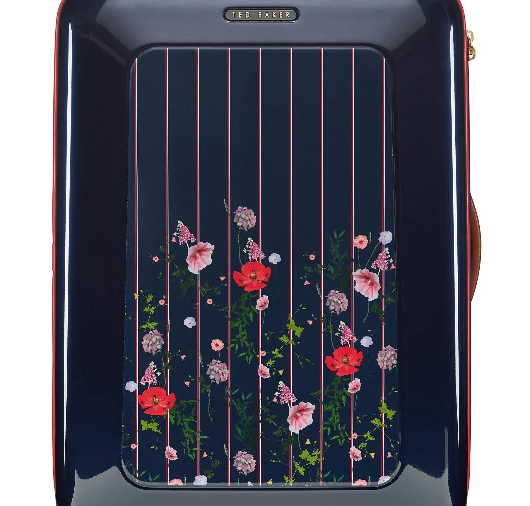 Ted baker Women's Hardside Carry-On 4-Wheel Carry-On Luggage