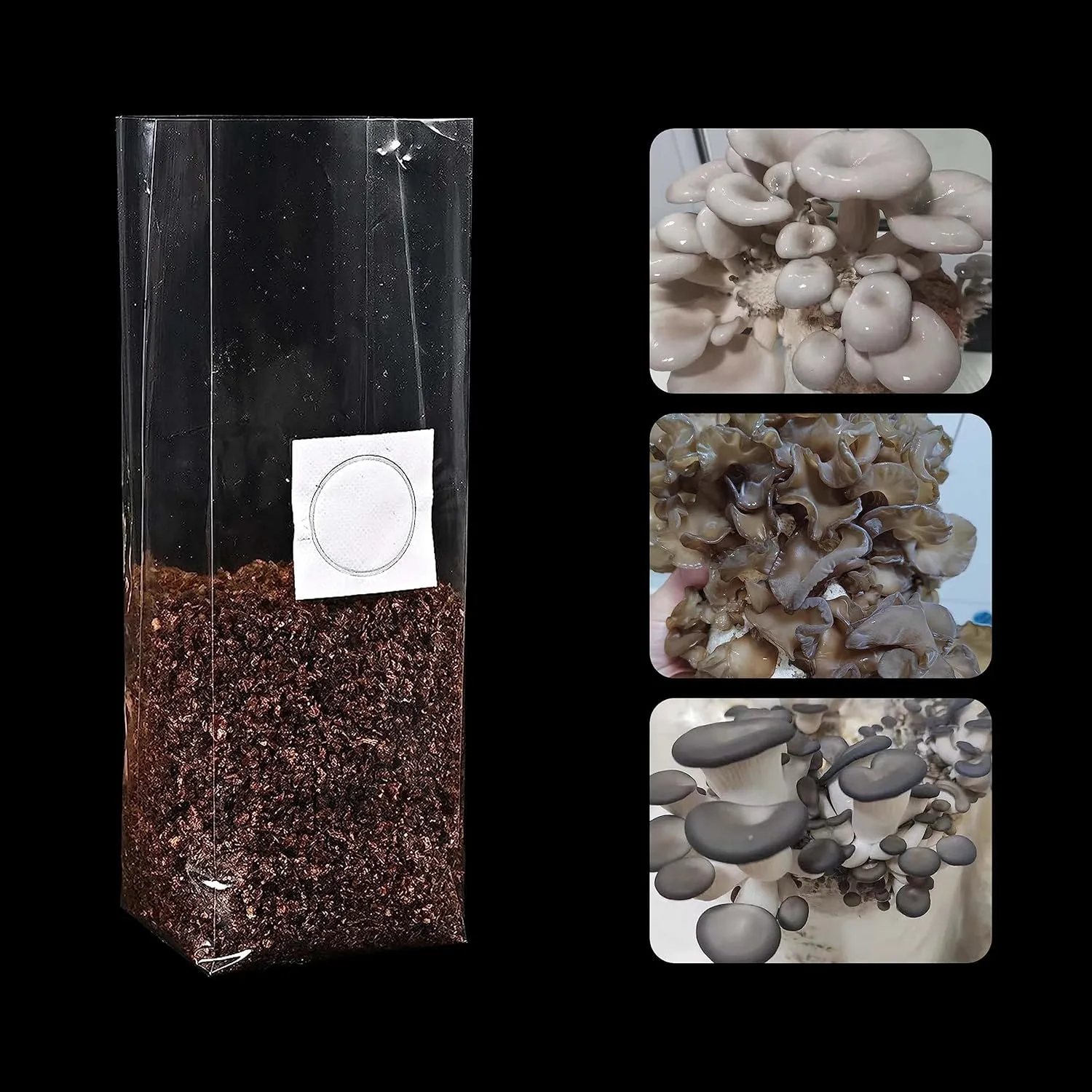 TEXALAN(R Mushroom Grow Bags with 0.5 Micron Filter 3 Mil Polypropylene for Substrate Autoclavable Mushroom Cultivation 8"X5"X19", 50 PCS